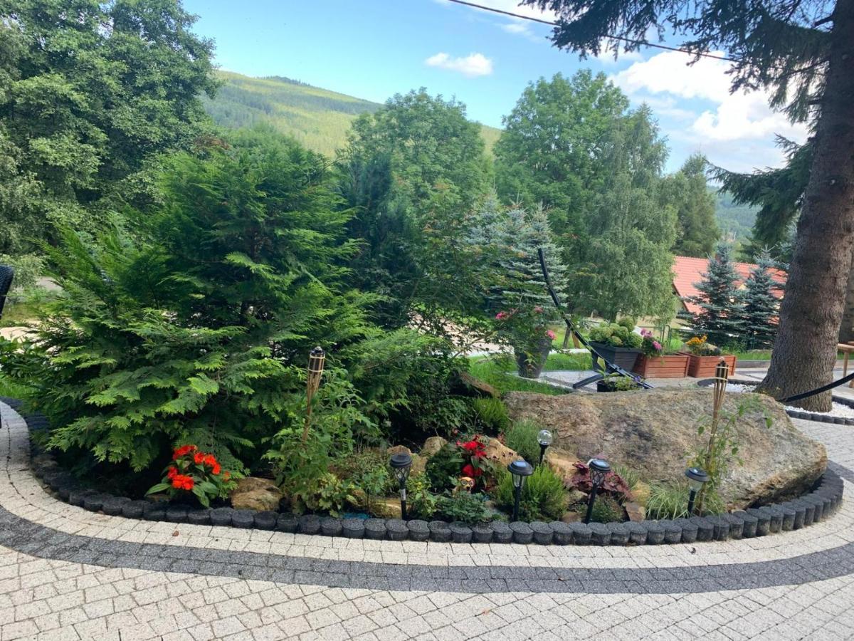 Na Stoku Appartement Świeradów-Zdrój Buitenkant foto