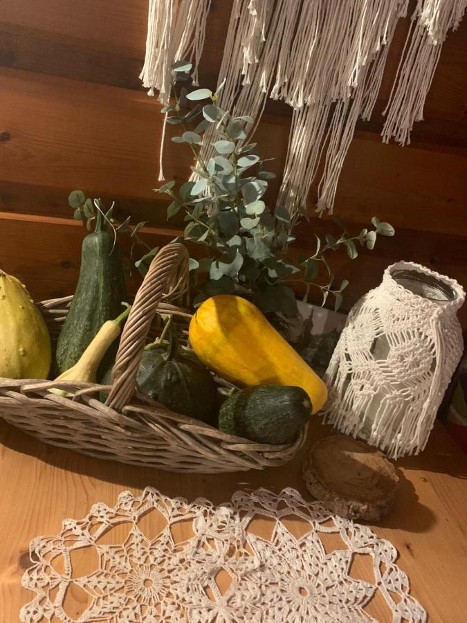 Na Stoku Appartement Świeradów-Zdrój Buitenkant foto