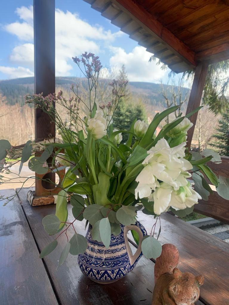 Na Stoku Appartement Świeradów-Zdrój Buitenkant foto