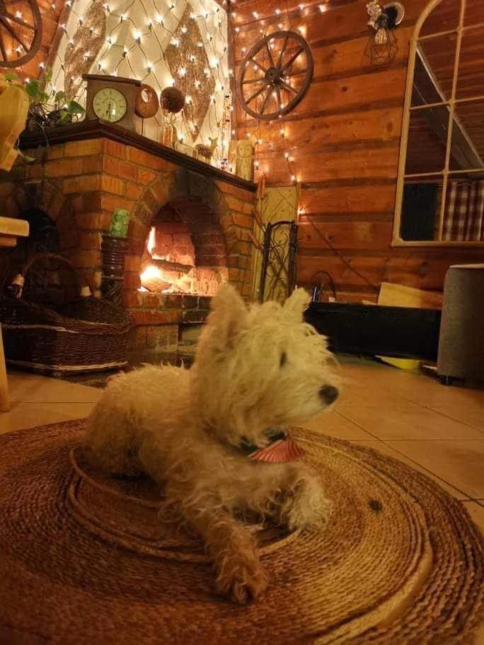 Na Stoku Appartement Świeradów-Zdrój Buitenkant foto